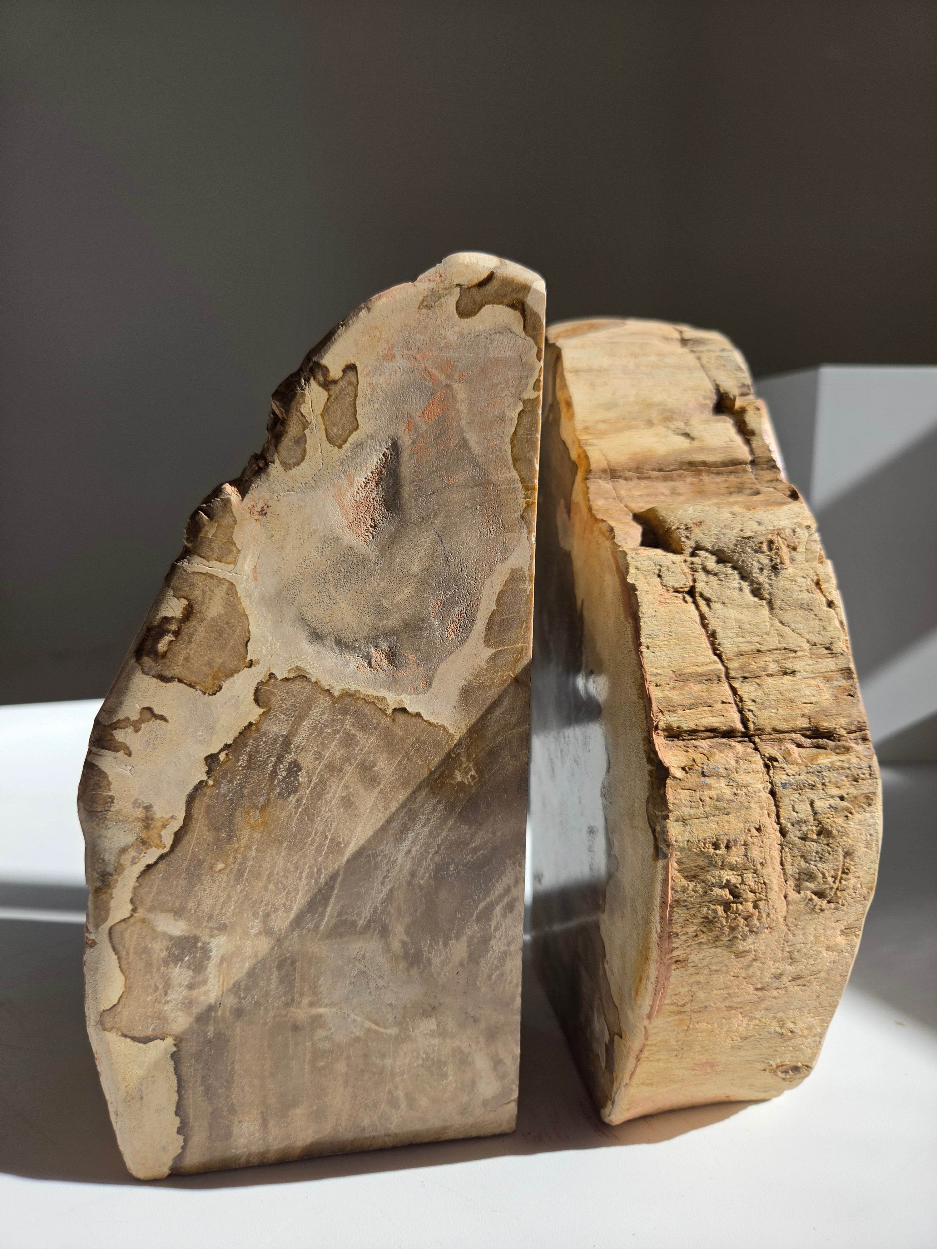 Petrified Wood Bookends 002
