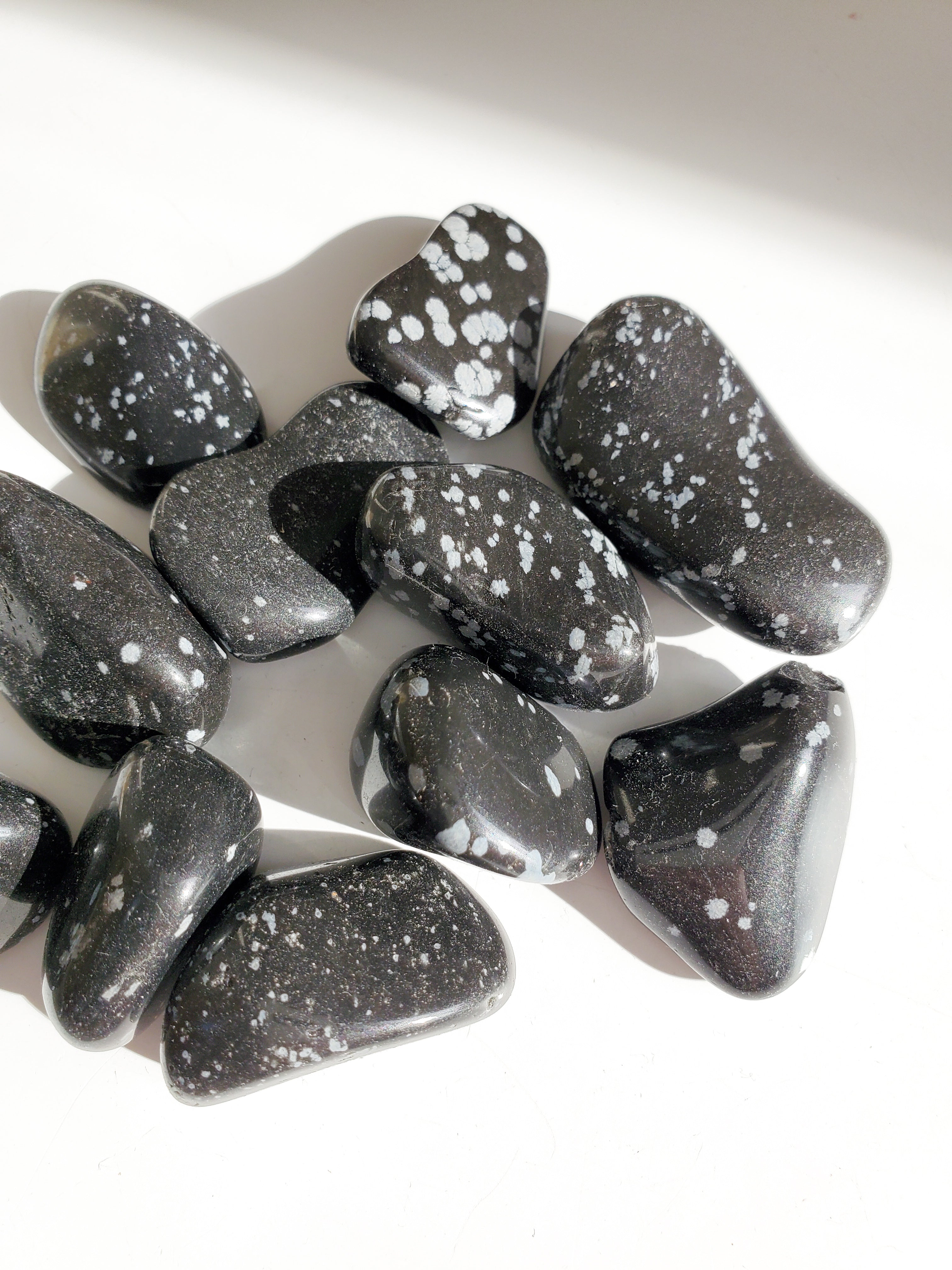 Snowflake Obsidian | Grounding